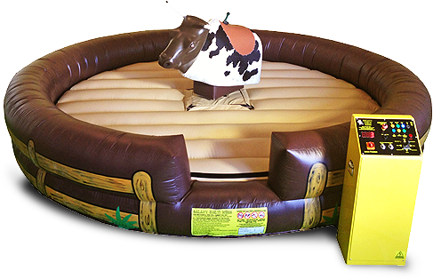 kids electric bull rides